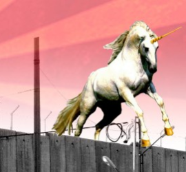 Flying over walls Black Pink logo