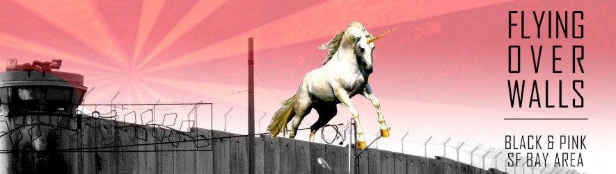 Flying over walls Black Pink logo